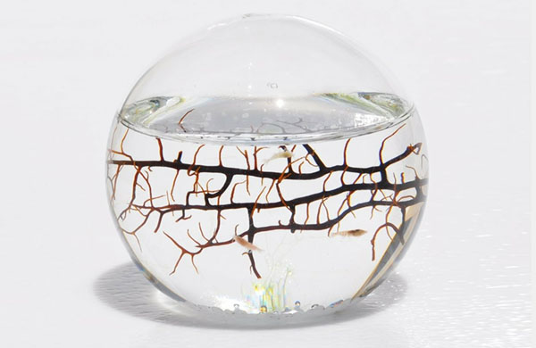 Living Ecosphere