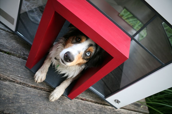 Modern Dog House: The Ultimate Designer Dog House ...