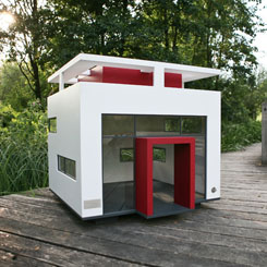 Doggy House