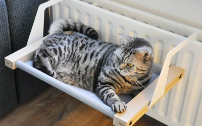 Cat Hammock